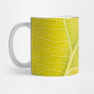 Autumn Leaf Mug